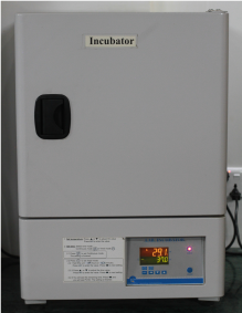 Incubator